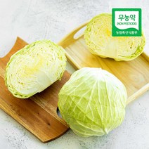 삼시세끼연구소 무농약 친환경 양배추 샐러드 재료 500g 1kg, 친환경 양배추 500g(내외)