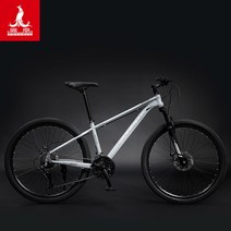오프로드 자전거 자이언트 팻바이크 입문용 티타늄 스피드바이클 Bike 산악 수입자전거, 24 단, 24인치, 07.스틸 프레임 - 라이트 그레이