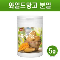 와일드망고 씨앗 가루 와일드 망고 종자 분말 아프리카 야생 망고 추출물 파우더 차 추출분말 100프로 렙틴 아디포넥틴 미국산, 5개, 200g