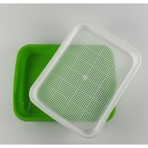 식물 새싹보리 씨앗 수경재배기 트레이 키우기 모종 바스켓