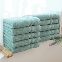 쉬라즈 더블보더 40수 170g 호텔수건, 10장, 코랄민트