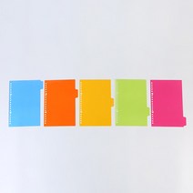 와우샵 비비드 컬러 20공 26공 다이어리 겉표지, 1.비비드 20공 다이어리 겉표지 A5
