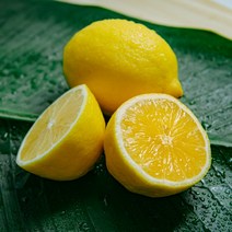 레몬 미국산 생과 카페 납품용 대용량, 30과