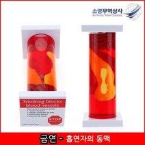 흡연자의동맥모형-금연흡연예방교육자료ㅣ흡연예방체험부스ㅣ보건교육용품, 상세페이지 참조