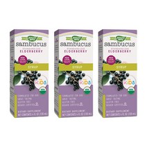 네이쳐스웨이 어린이용 삼부커스 엘더베리 시럽, 120ml, 3개