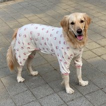 대형견올인원 대형견옷 중형견옷 강아지내복 강아지 토끼옷, 아이보리