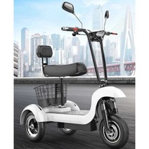 세발 전기 자전거 스쿠터 3발 노인 전동차 바스켓, 상세 페이지 참고, 48V/싱글시트+어린이용시트