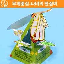 자체브랜드 무게중심-나비의 한살이(10인세트)