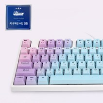 로얄클루지 RK987 RGB LED 체리 게이밍 기계식 키보드, RK987 청축 파스텔키캡