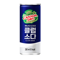 캐나다드라이클럽소다, 30개입, 250ml