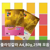 플라잉칼라 A4/80g/25매모음, 플라잉칼라 P38