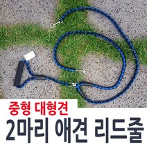 [624C]JH 애견 트윈리드줄★포장훼손반품불가★, ★옵션확인必레드