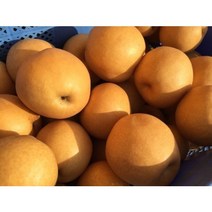제이에스엔 산지직송 달달한 맛있는 남양주 먹골배 신고배 배즙 배농장 7.5Kg 15Kg, 정품 가정용 중과 먹골배 7.5kg, 10과