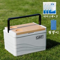 Modlauna 캠핑 아이스박스 보냉 쿨러백 미니 쿨러 36 리터 대용량 낚시, 11L, 흰색