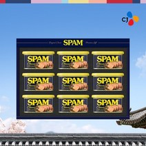 [KT알파쇼핑]당일출고 CJ 스팸 8호 선물세트, 기본상품