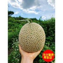 멜론 머스크멜론 MELLON 메론 4과(8KG) 특등급, 멜론 2과(4KG)