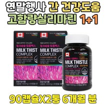 연말행사 식약처인증 간 건강 도움 밀크씨슬 영양제 부모님 ALDH 개선 고농축 밀크 시슬 고함량 씨유 할머니 할아버지 장모님 장인어른 어머니 아버지 엄마 아빠 ALT수치 실리마린