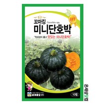 꼬마킹 미니단호박 10립 / 호박씨 호박씨앗 단호박씨앗 단호박씨