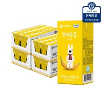 연세우유 연세우유 멸균우유 바나나우유 96팩, 단품, 1