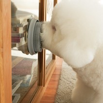 더플래 강아지 고양이 셀프구강관리 덴탈브러쉬, 그레이