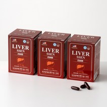 바이탈트리 리버쎈 6개월분 프리미어 밀크씨슬 실리마린 간영양제, 1100mg, 3box