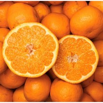 산지직송 프리미엄 제주 효돈 노지 감귤, 못난이 노지 감귤 9kg (사이즈 혼합), 1개