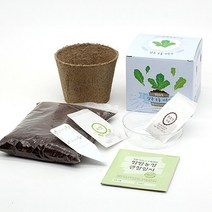 팜팜농장시리즈 키우기 틔움세상 모종 화분재배키트, 상추