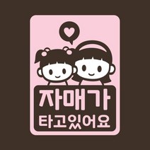 아기가타고있어요 아이차량스티커 루씨 자매-리틀메테오, 색상:레몬