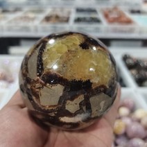 조개화석 암모나이트 화석 1 천연 격막 구 격막 천연 드래곤 돌 격막 화석 크리스탈 구, 6cm