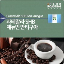 과테말라 SHB 제뉴인 안티구아 500g 당일로스팅 원두, 단품
