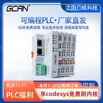 CANopen 릴레이 디지털 아날로그 PLC 산업용 제어 보드 프로그래밍 가능 메인 컨트롤로 국내 생산 컨트롤러, [24] 1