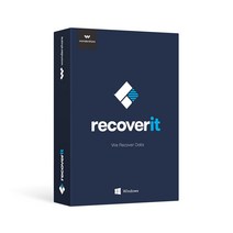 Wondershare Recoverit 윈도우 기업용 라이선스 영구, 단품