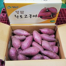 고구마 영암품명 황종복 연지 꿀고구마 35 10kg 품질엄선, 황종복연지 꿀고구마5kg(상품/선물용)