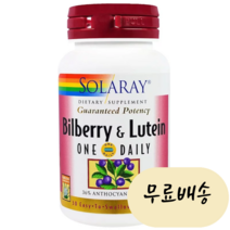 솔라리 루테인 빌베리 10mg 30정, 1개, 30개