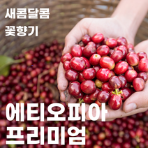 스페셜티 에티오피아 프리미엄 블랜드 (원두 커피 200g 500g) 코케허니 아바야게이샤 G1, 더치(콜드브루) 분쇄
