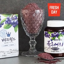 프레시데이 고창 베리월드 블루베리분말 100g, 1개, 단품없음