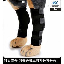 강아지수술후산책 슬개골약한강아지 슬개골약한노견 노견수술후산책 반려견관절보호대 관절보호대L, 블루