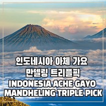 (커피생두) 261 인도네시아 아체 가요 만델링 트리플픽 1kg