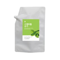스테비아 설탕 스테비톨 건강 웰빙 슈가 1kg