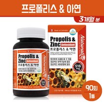 프로폴리스 아연 캡슐 플라보노이드 BEE PROPOLIS 비프로폴리스 추출물 알약 항산화 영양제 건강기능식품 캐나다, 1박스, 프로폴리스 아연 캡슐 90C