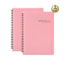라이브잇 알파 밴드화일 A4 40매, 분홍, 10개입, 분홍