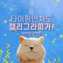 다온폰트 타이핑치는 캘리그라피 라이트 1개월 쿠폰(윈도우전용), DAON LIGHT / 1