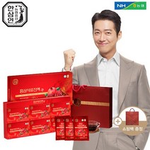 한삼인 홍삼석류진액 60mlx30 1세트+쇼핑백, 없음