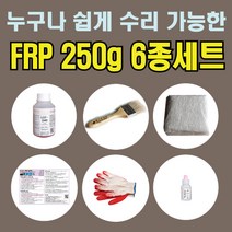 FRP 250g 6종 세트/보수재 유리섬유 겔코트 호마이카/무료배송, 1세트