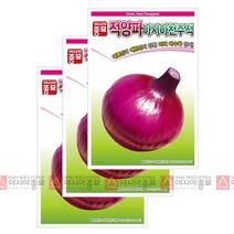 아시아종묘 양파씨앗종자 아시아천주적(5gx3), 3개