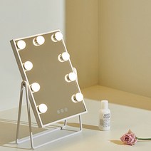 이데컴퍼니 빅사이즈 LED 조명 거울 245 x 337 mm, 화이트