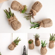 선인장 조화 행잉 대-C 미니조화화분 미니조화 인조화분 인테리어조화 생화같은조화 조화장식