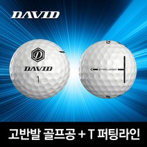 데이비드 고반발 골프공 비거리 골프볼 20구 / 40구 + 자석티, 40개
