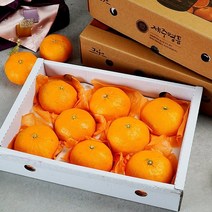 (지투지샵) 9월5일 오전8시까지 주문시 명절전배송 제주 레드향 선물용 2.5kg 8-11과