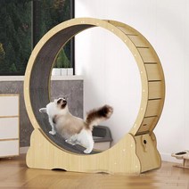 캣휠 무소음 국내배송 캣워크 고양이 운동기구 3세대 내부지름 80cm, L(6~9kg추천)